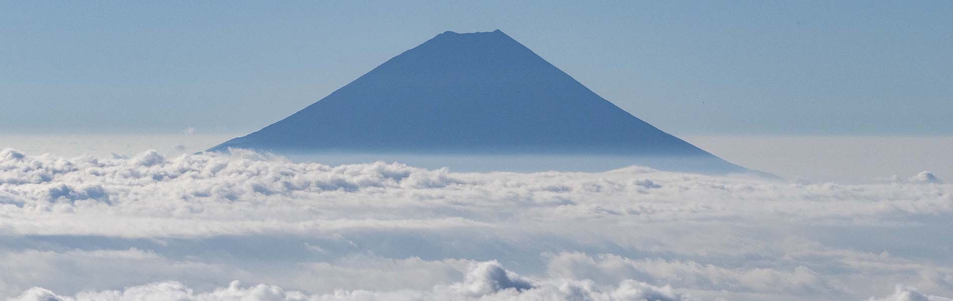 シンプルでカスタマイズしやすいWordPress.org登録テーマ